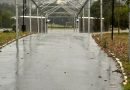 25ª Fenakiwi: Estruturas começam a ganhar forma no Parque Cinquentenário 25ª Fenakiwi: Estruturas começam a ganhar forma no Parque Cinquentenário